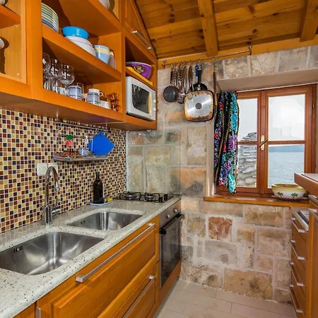 Studio Zavala זבלה